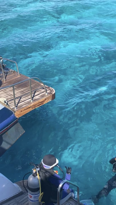 Strand Pickalbatros Citadel Resort