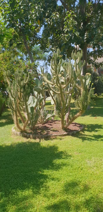 Gartenanlage Labranda Alantur Resort