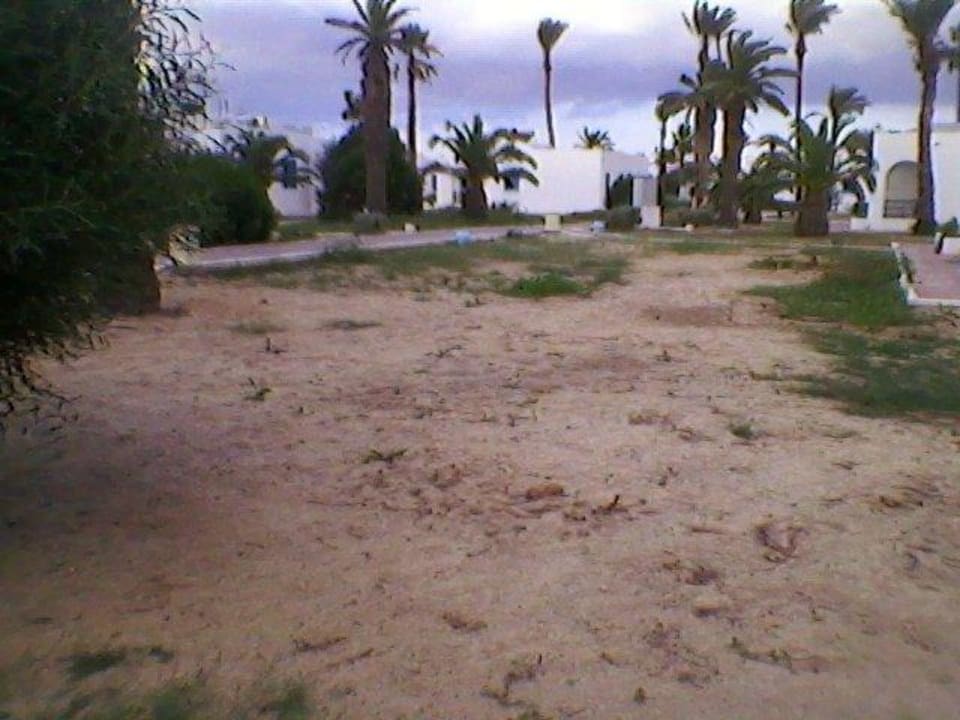 Jetzt Kartoffelacker Royal Lido Resort & Spa