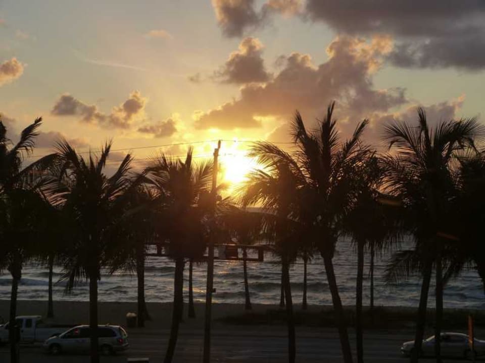 Sonnenaufgang aus dem Bett gesehen Sonesta Fort Lauderdale