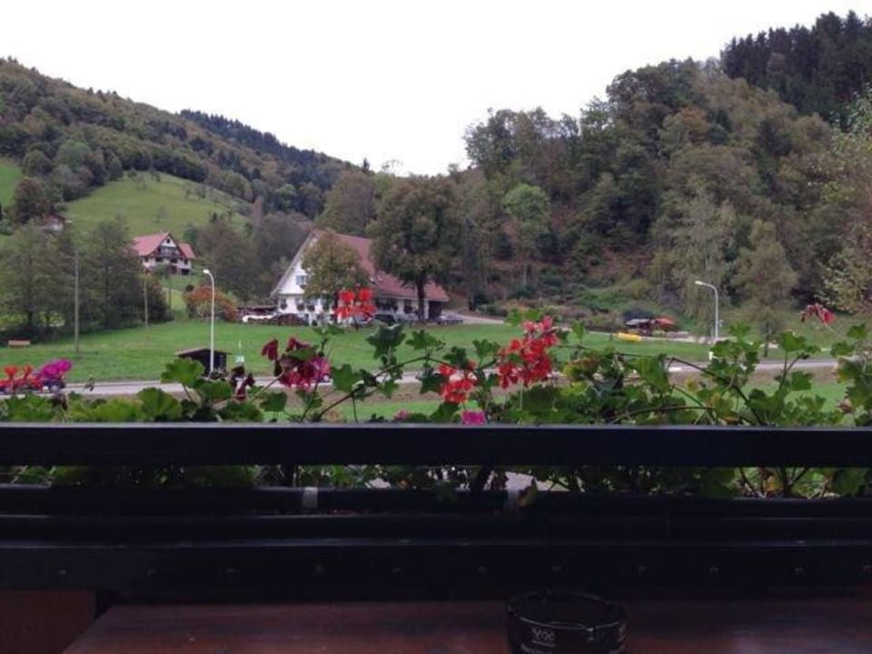 Blick zum Schwarzwald Gästezimmer Hoferlesmühle