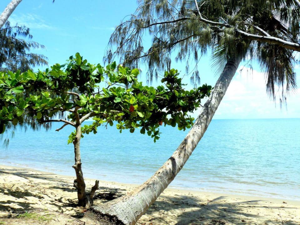 Das Cairns Beach Resort Hotel Cairns Beach Resort