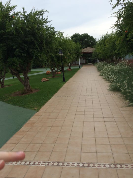 The way to the restaurant and bars Prinsotel La Dorada