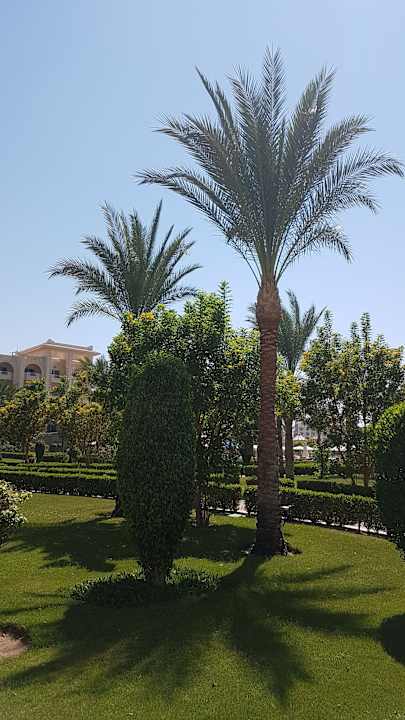 Gartenanlage Serenity Alma Heights