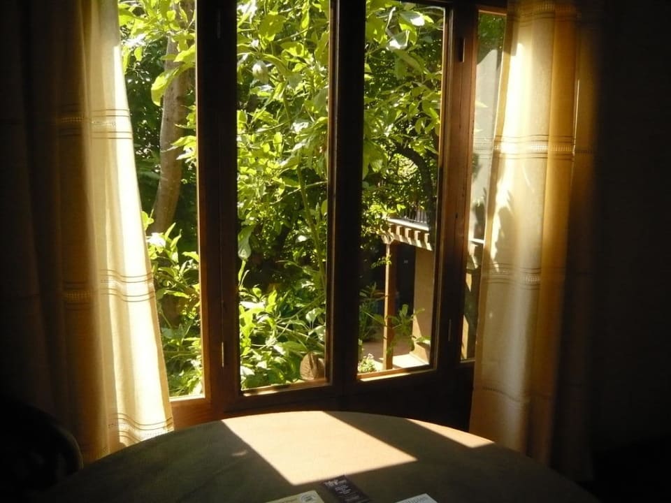 Vista al jardin del aguacate Hotel Posada Yolihuani