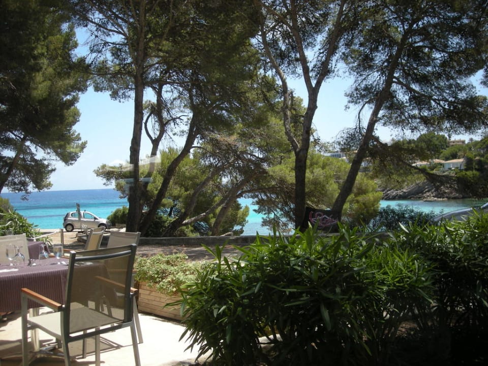 Blick aufs Meer Iberostar Waves Pinos Park