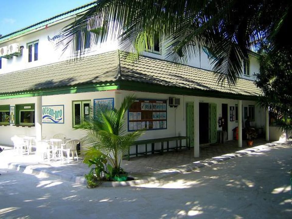 Die Tauchschule Lily Beach Resort & Spa