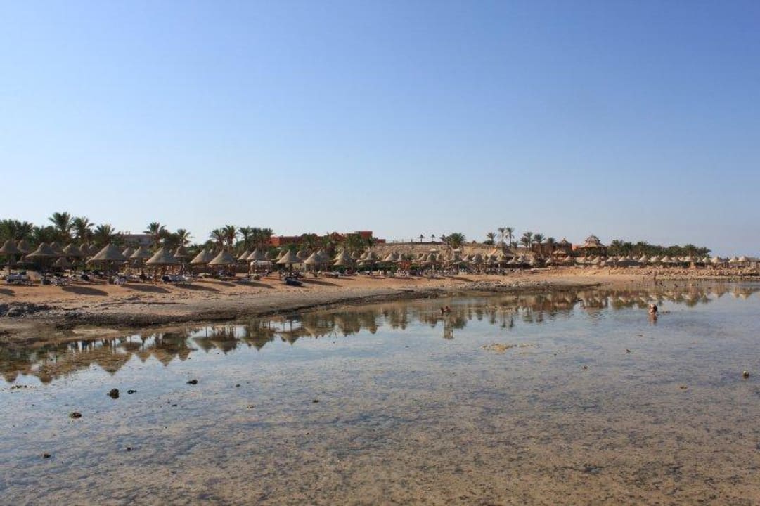 Duza plaza Parrotel Beach Resort