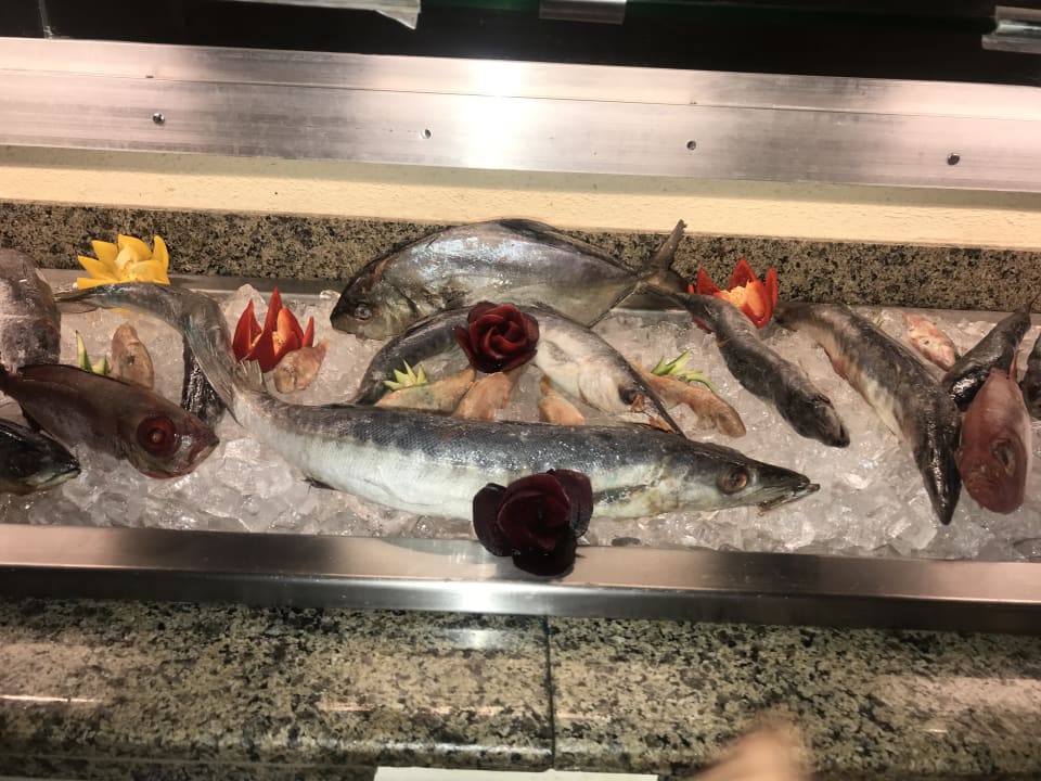 Gastro Marina Resort Port Ghalib, a member of Radisson Individuals