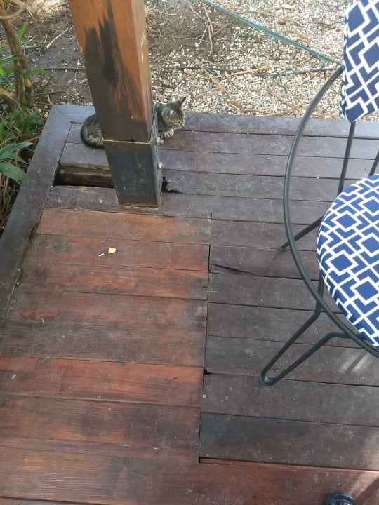 Sport & Freizeit TUI MAGIC LIFE Beldibi +16