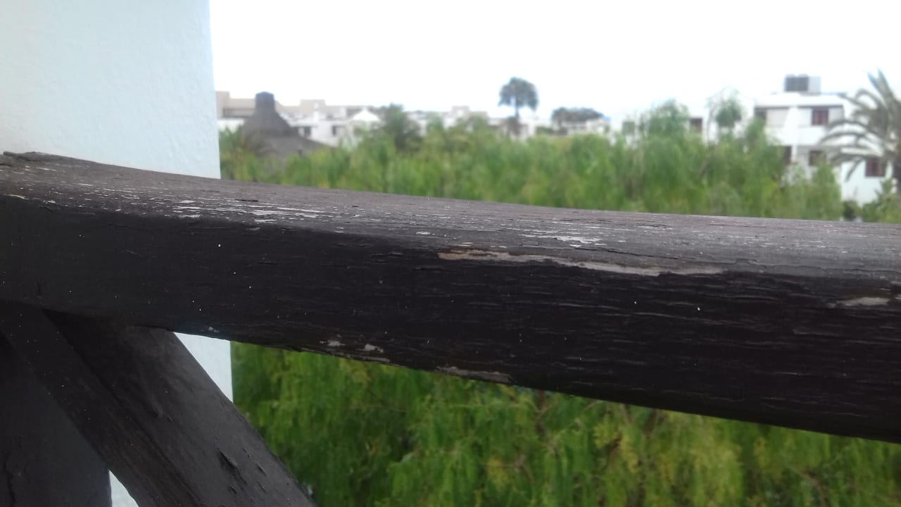 Zimmer allsun App.-Hotel Albatros