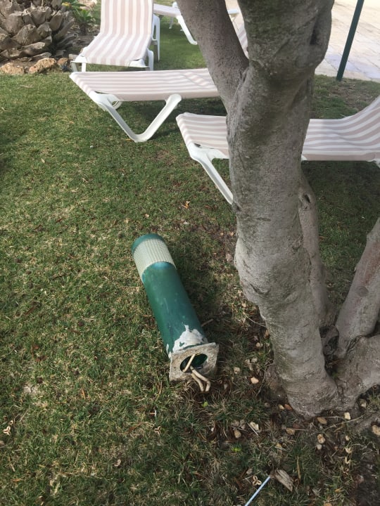 Gartenanlage Pestana Viking Beach & SPA Resort