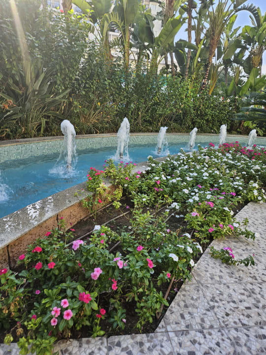 Gartenanlage Hotel Delphin Imperial