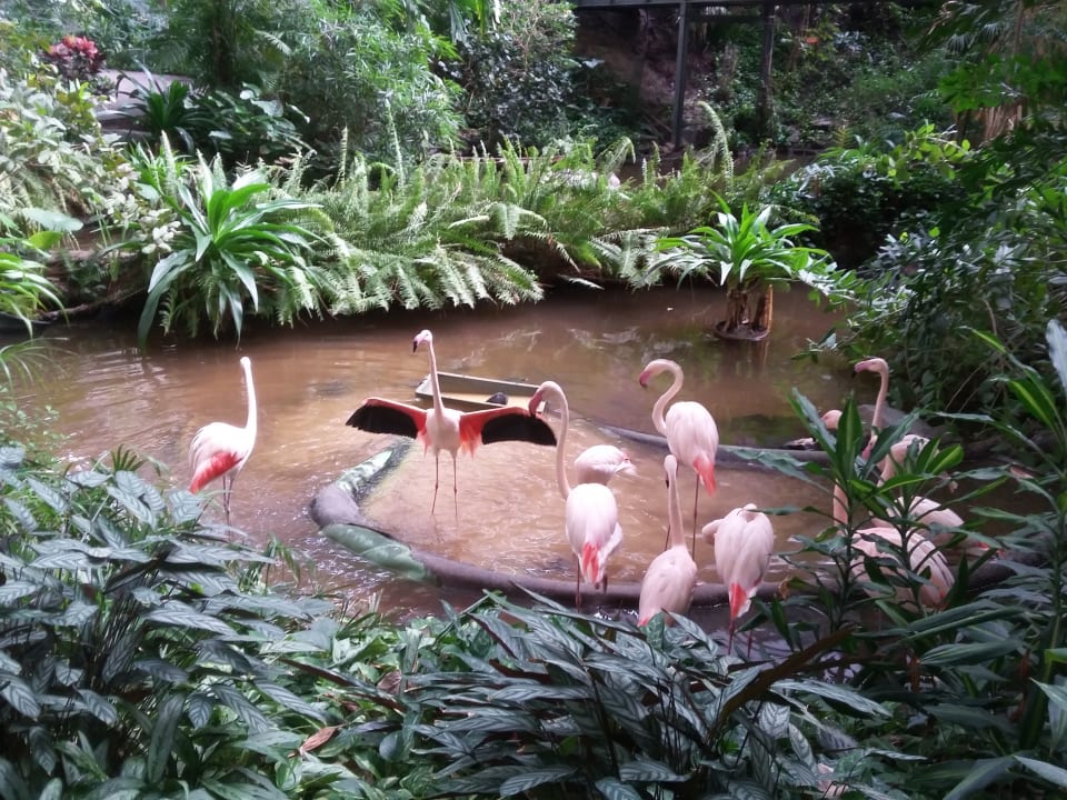Ausblick Tropical Islands Resort