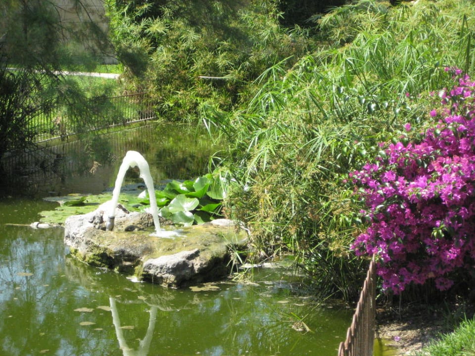 Gartenanlage PortBlue Club Pollentia Resort & Spa