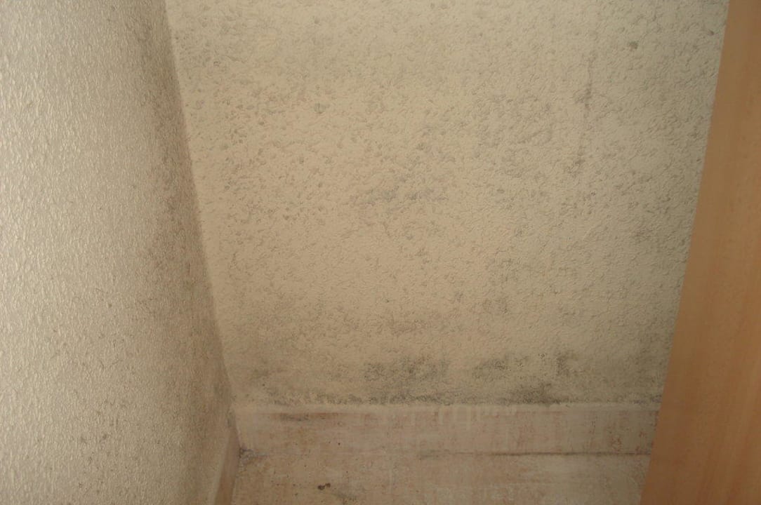 Schimmel hinter dem Schrank Ahoi! Urban Beach Hotel