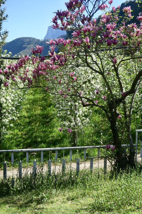 Gartenanlage Hotel Burgleitenhof