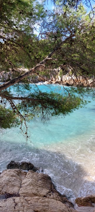 Gartenanlage Hotel & Spa S'Entrador Playa