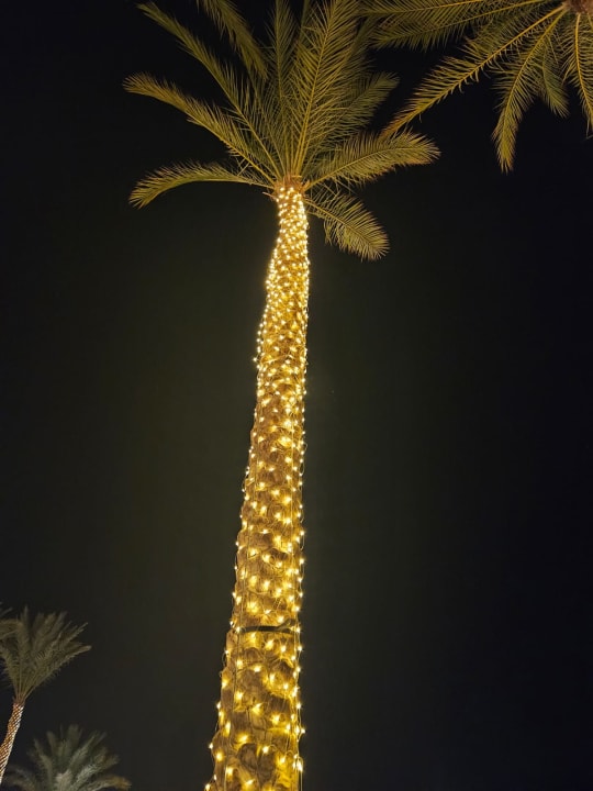 Gartenanlage Cleopatra Luxury Resort Makadi Bay