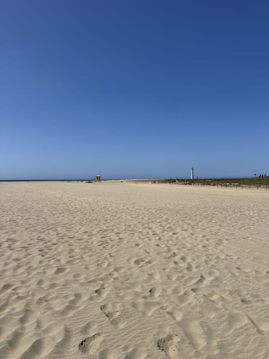 Strand TUI MAGIC LIFE Fuerteventura