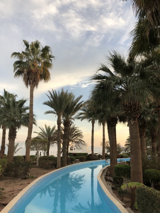 Pool Pickalbatros Golf Beach Resort