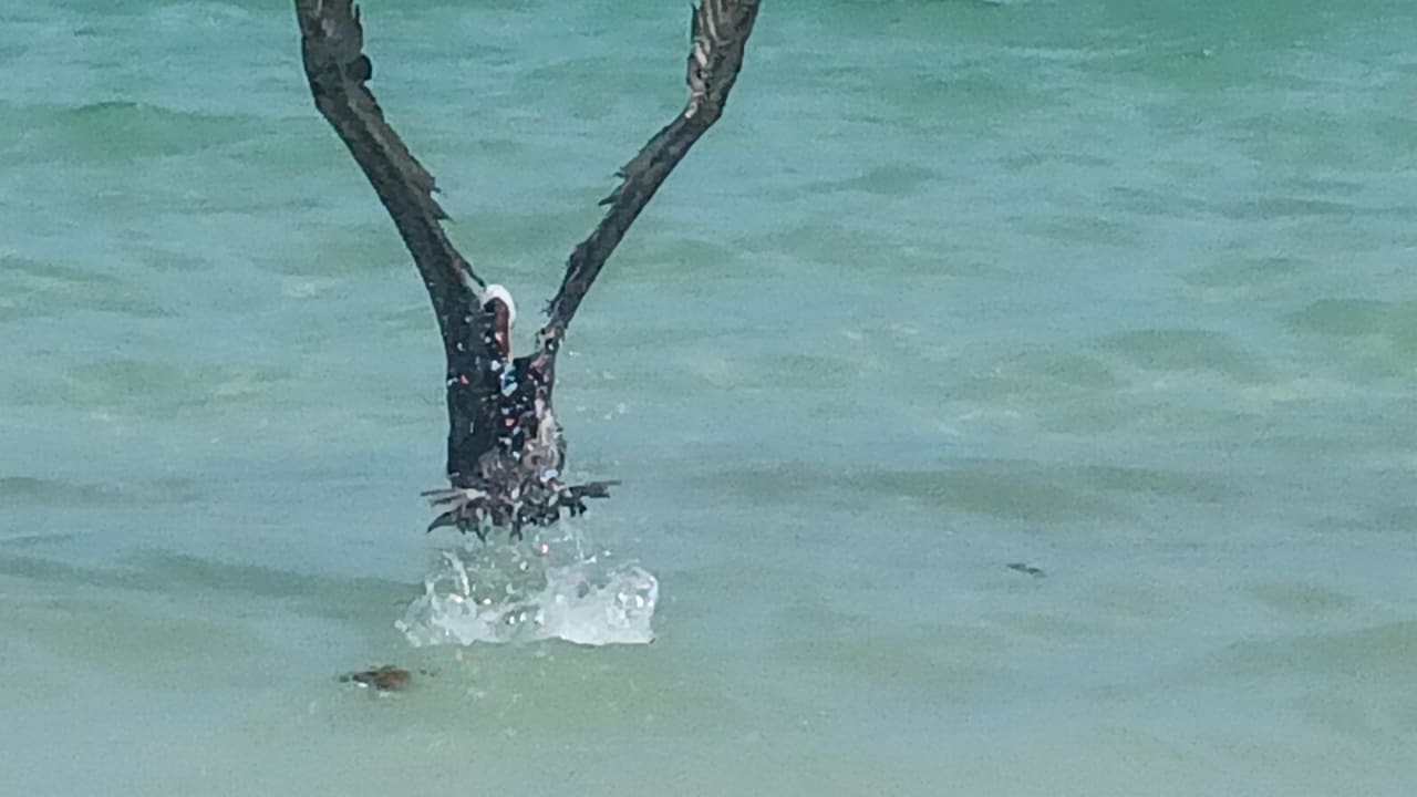 Strand Akumal Bay Beach & Wellness Resort