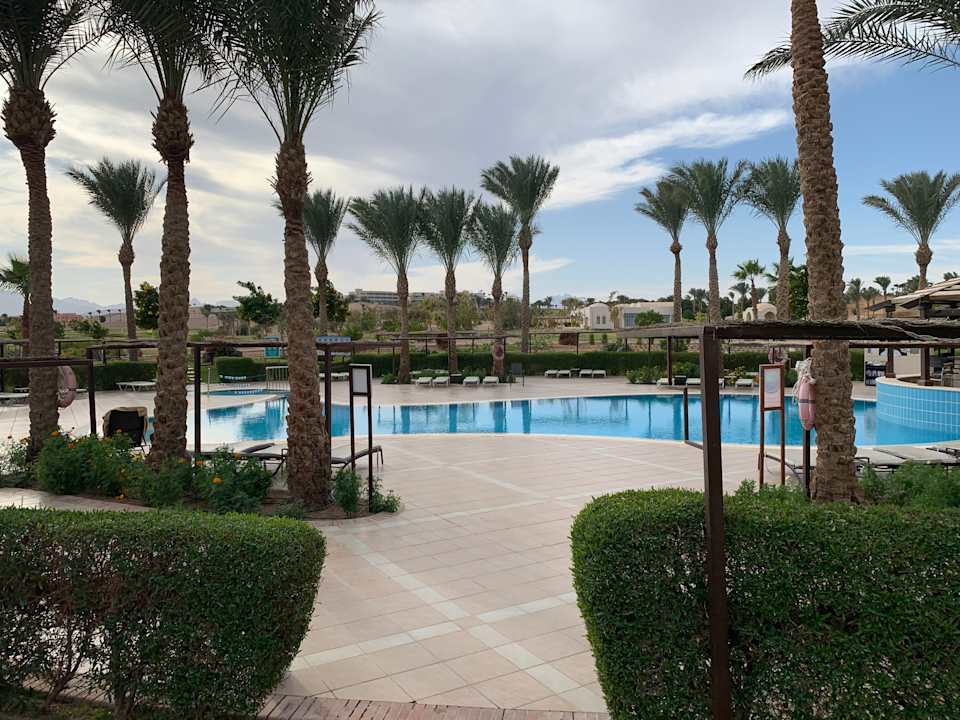 Gartenanlage JAZ Neo Saraya Palms