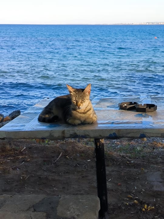 Außenansicht Can Garden Beach