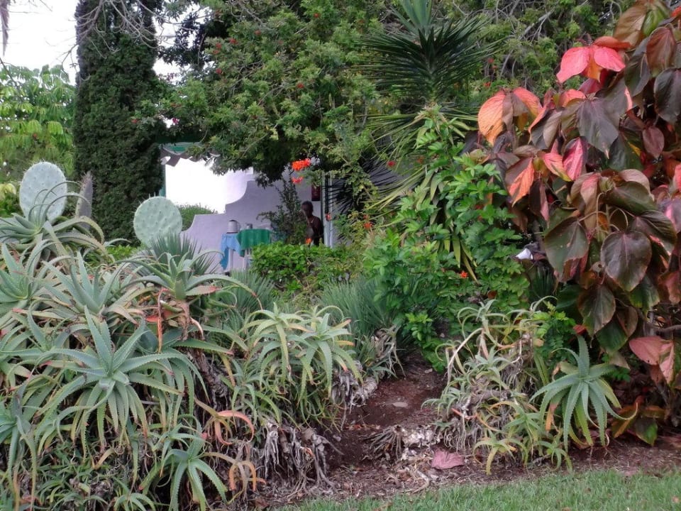 Blick vom Bungalow zum Pool Bungalows Cordial Sandy Golf