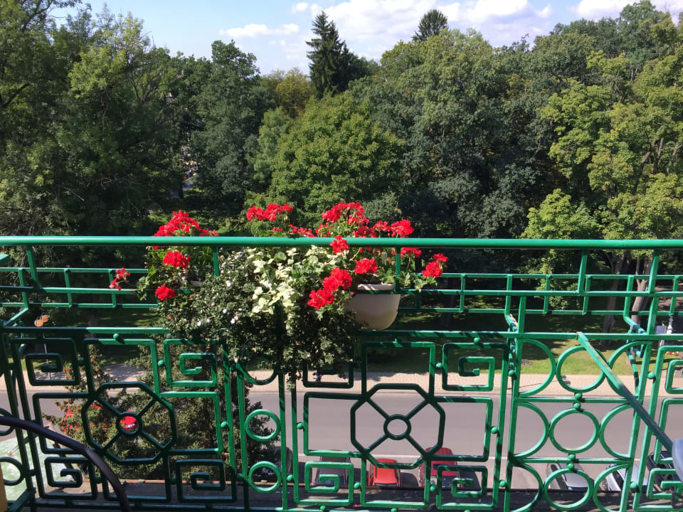 Ausblick Kurhotel Pawlik - Aquaforum