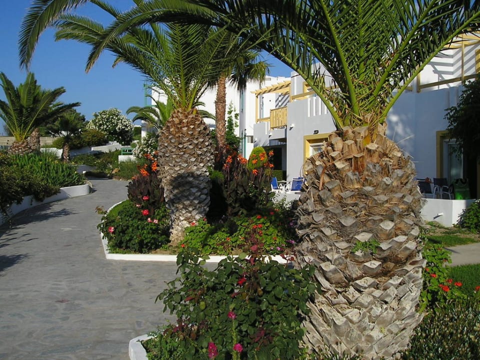 Aussenanlage Mastichari Bay Hotel