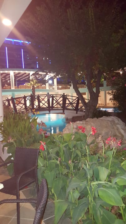 Pool Hotel Calypso Beach