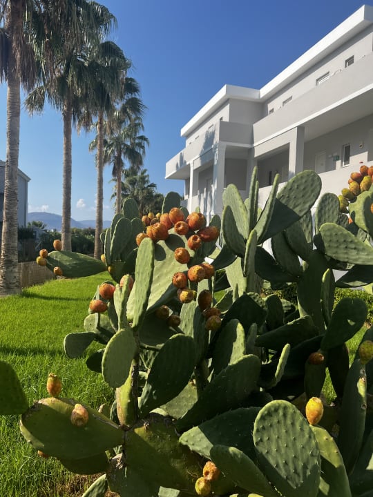 Gartenanlage Delfina Tropic Beach