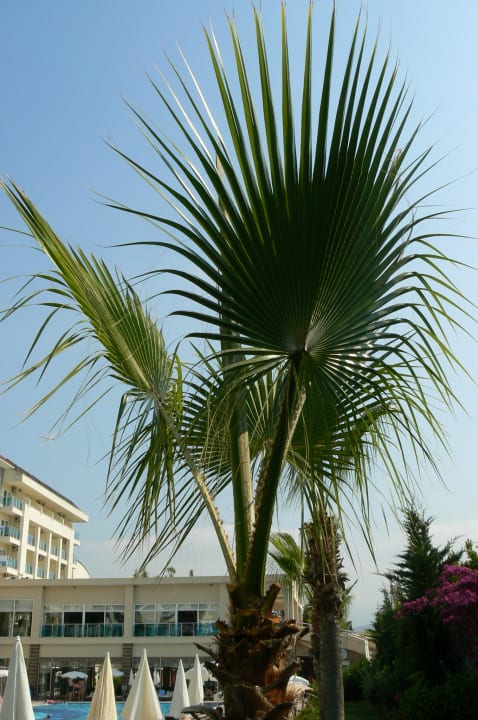 Ausblick Solivia Hotel