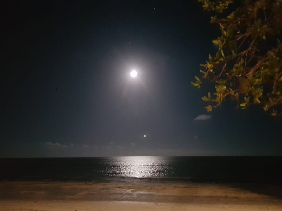 Strand Neptune Pwani Beach Resort & Spa