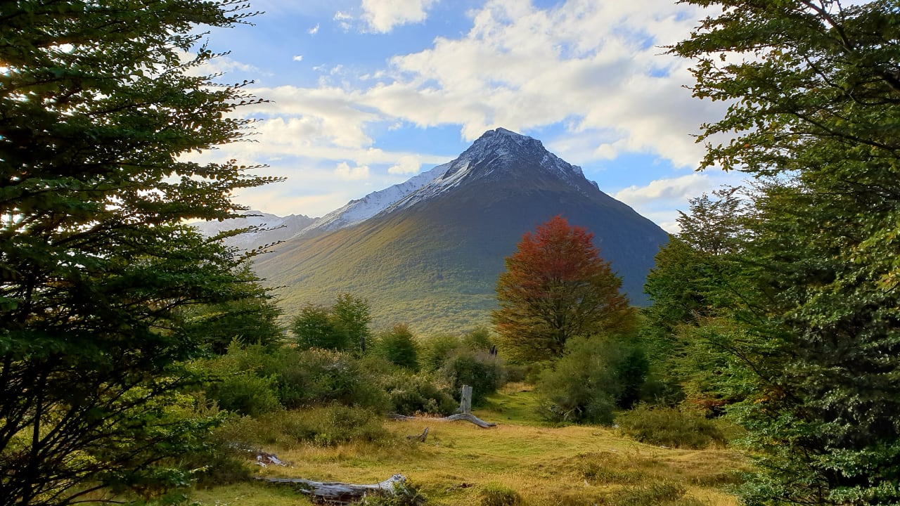 Gartenanlage Hotel Arakur Ushuaia