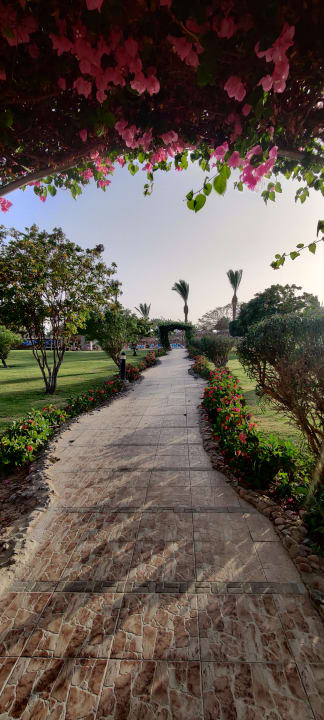 Gartenanlage Hurghada Long Beach Resort