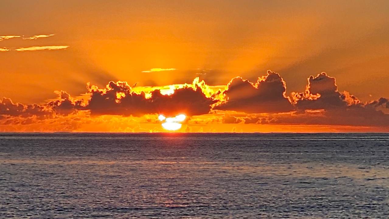 Ausblick Hipotels Hipocampo Playa