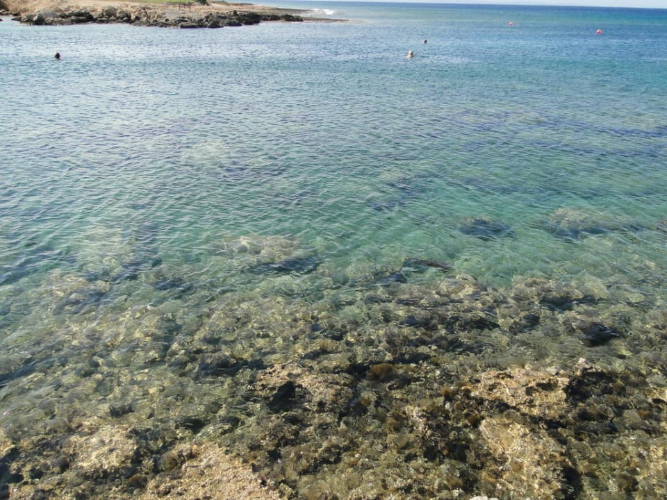 Crystal Springs Beach Hotel Crystal Springs Beach Hotel