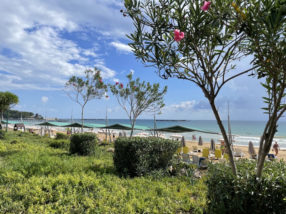Strand AQI Pegasos Resort