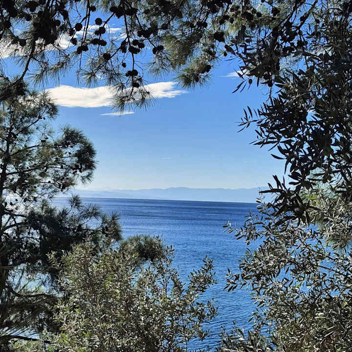 Ausblick Paloma Pasha