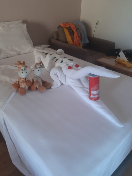 Zimmer Prima Life Makadi Resort