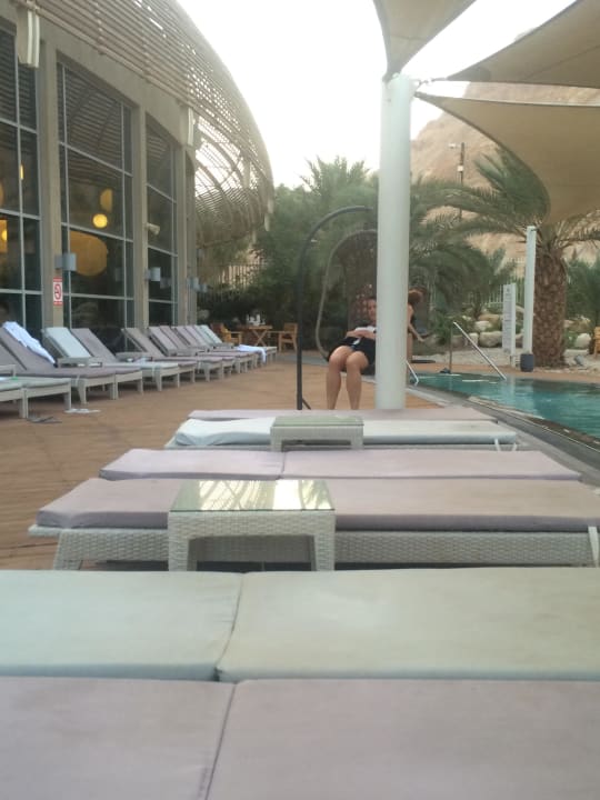 Aussenanlage Ein Gedi Kibbutz Hotel