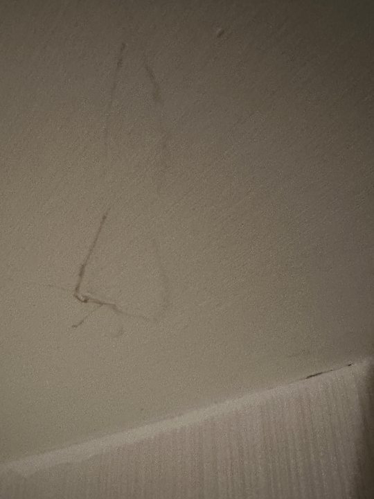 Zimmer Side Star Elegance