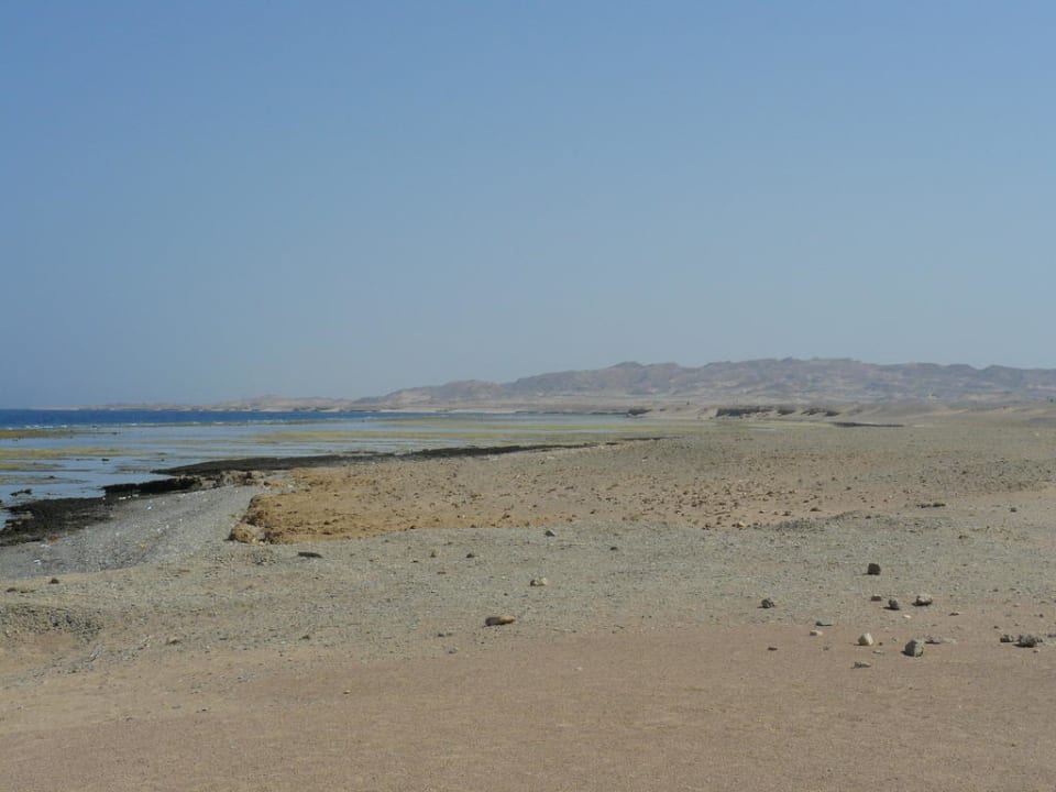 Blick nach Süden Hotel Coral Garden
