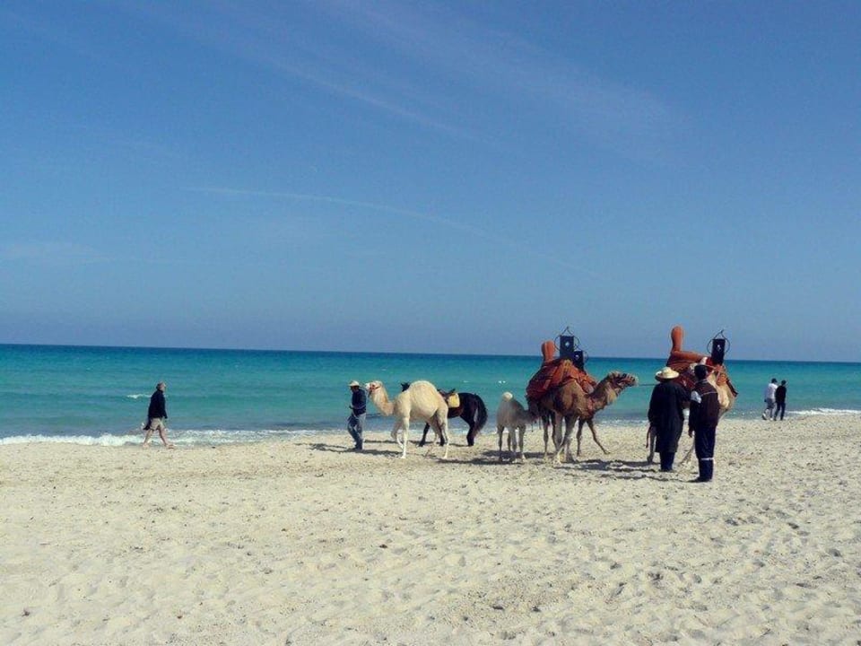 Plage TUI MAGIC LIFE Penelope Beach