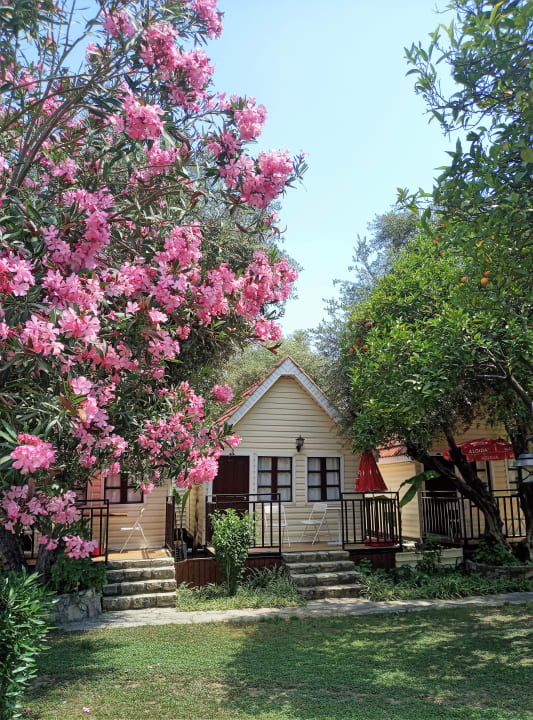 Zimmer Clover Magic Nova Beach