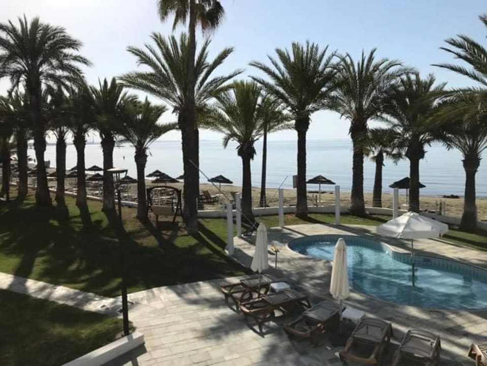 Gartenanlage The Golden Bay Beach Hotel
