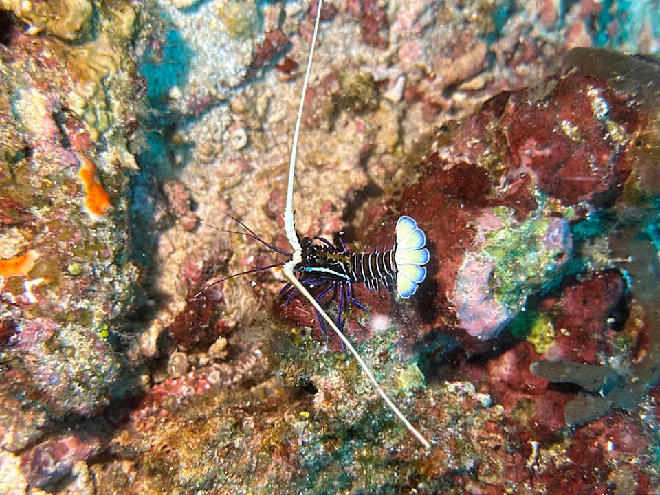 Sport & Freizeit Sali Bay Resort