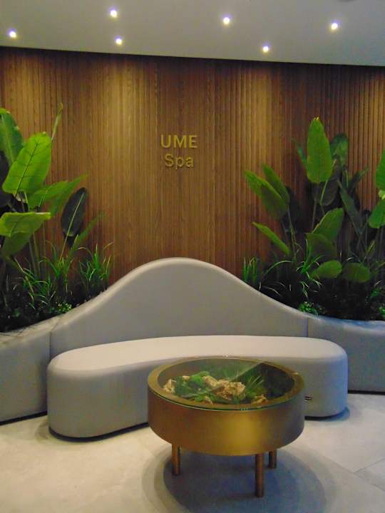 Sonstiges Hotel Elisa Tirana, Affiliated by Meliá